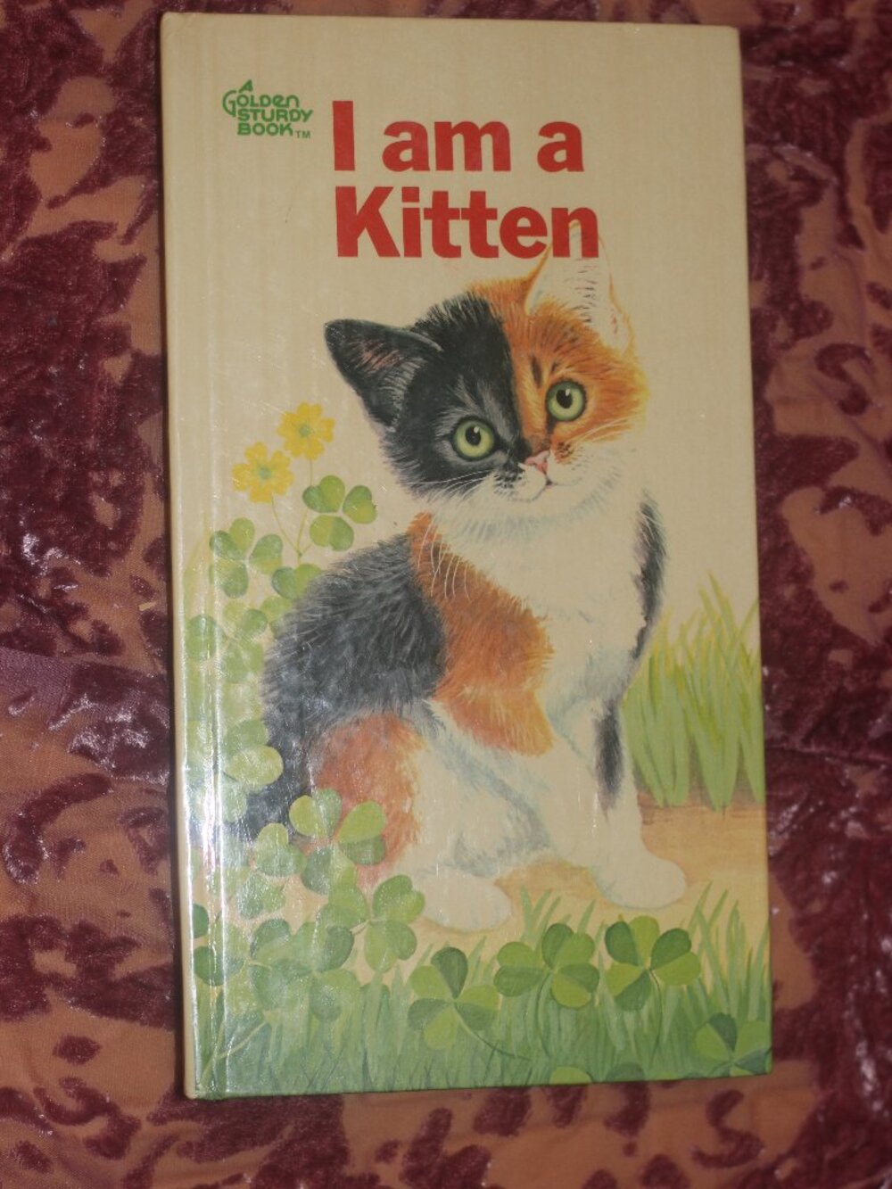 VTG Golden Sturdy Book I am a Kitten published 1970